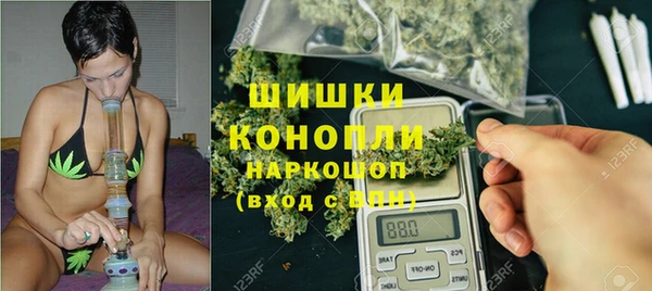 прущие грибы Краснотурьинск