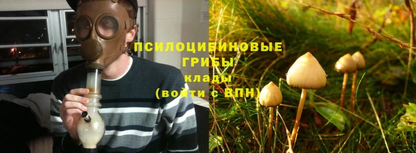 прущие грибы Краснотурьинск