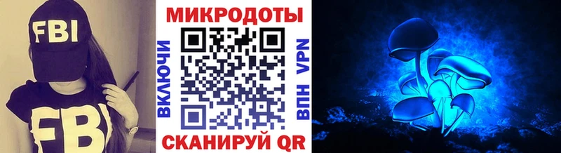 Галлюциногенные грибы Psilocybe  Купить закладки  Лянтор 